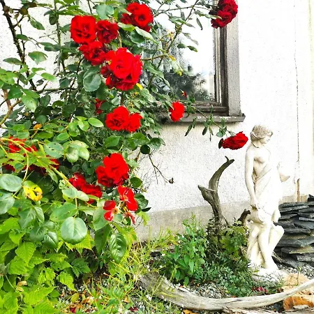Am Bergmannsbrunnen Apartment Schönheide