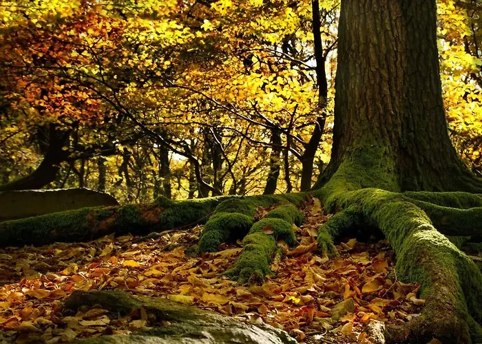 Am Bergmannsbrunnen * Schönheide